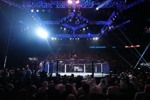 UFC Fight Night 282, где смотреть, кто показывает, турниры UFC в Абу-Даби, все участники